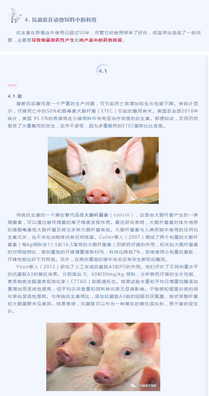 抗菌肽作為替抗飼料添加劑對動物生產(chǎn)、食品安全和公共衛(wèi)生影響的綜述（下）_01