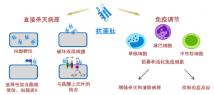 泰倍健——新型免疫增強(qiáng)劑，構(gòu)建核心抗病力